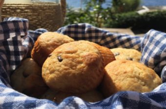 Healthyish Banana Muffins